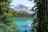 Leasing vs. Buying Your Guide to Smart Choices in Canada