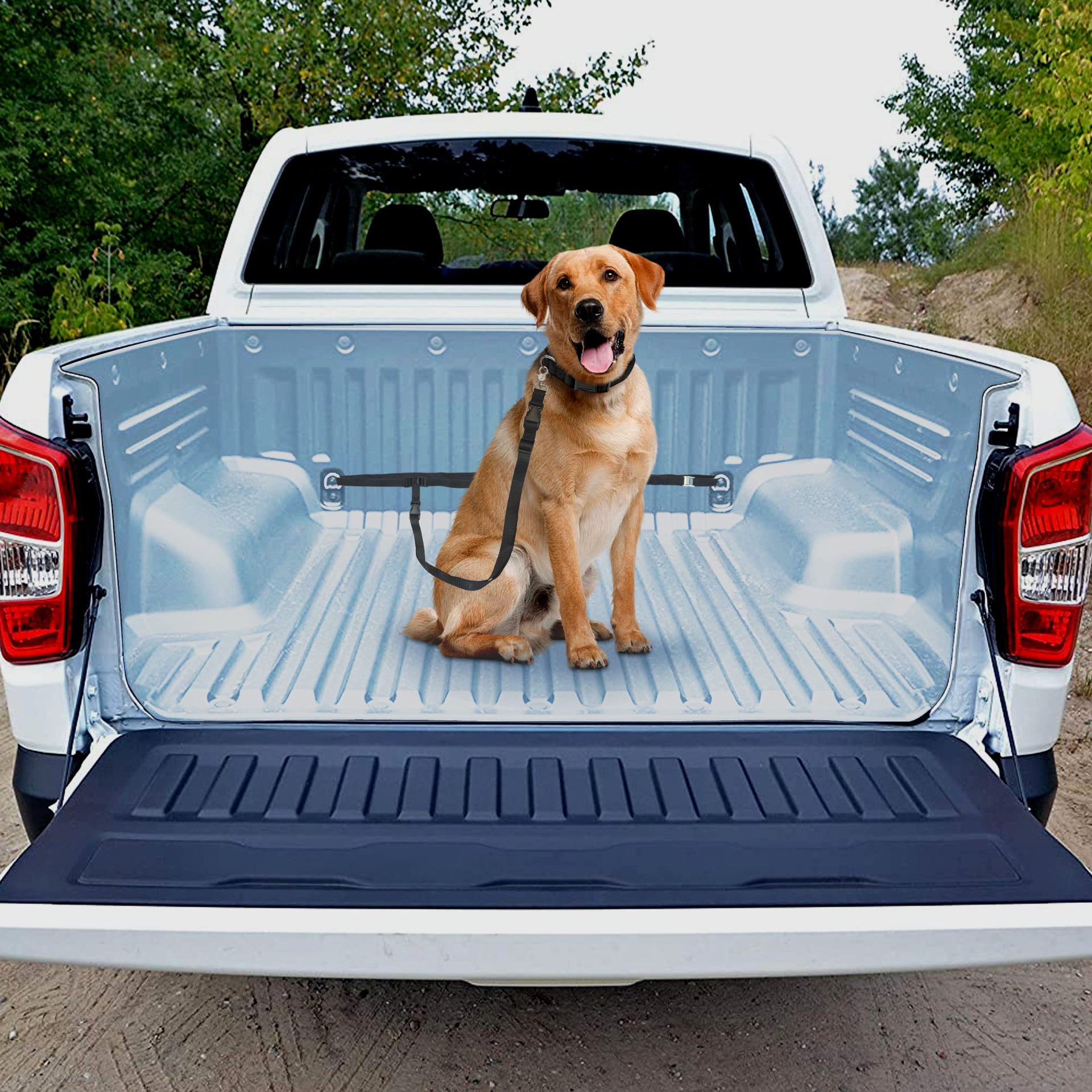 Pickup Trucks Dog friendly Canada | 2025