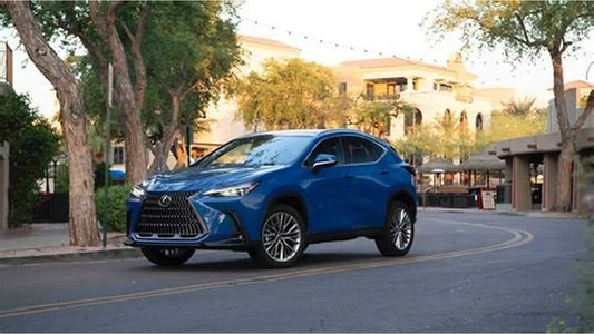 Lexus NX 250 | 2025