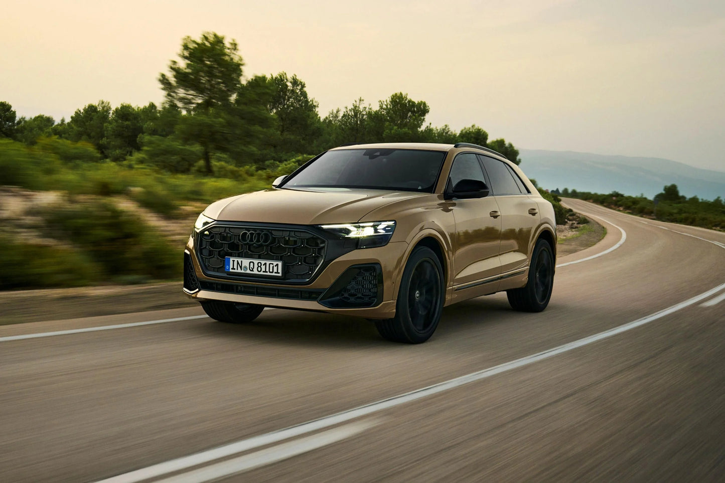 Audi Q8 | 2025